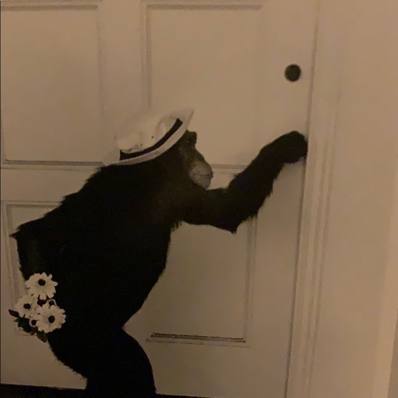 dolladonnabills